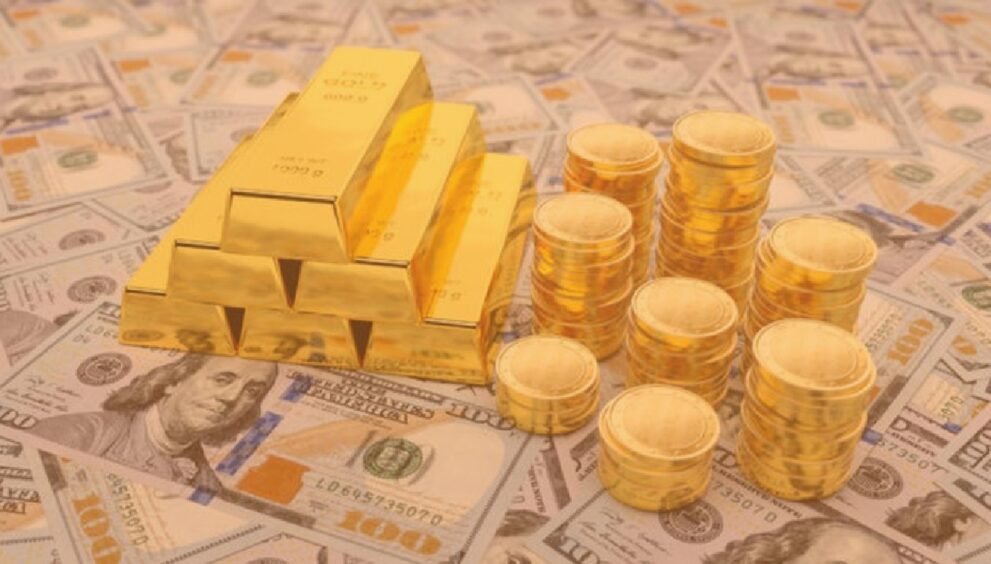 Dayitva Media Currency-1