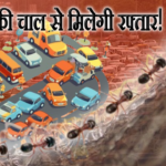 नवजोत सिद्धू ने बताया किचन से कैंसर का इलाज? ‘हल्दी और नीम’ वाली थेरेपी डॉक्टरों के गले से नहीं उतरी