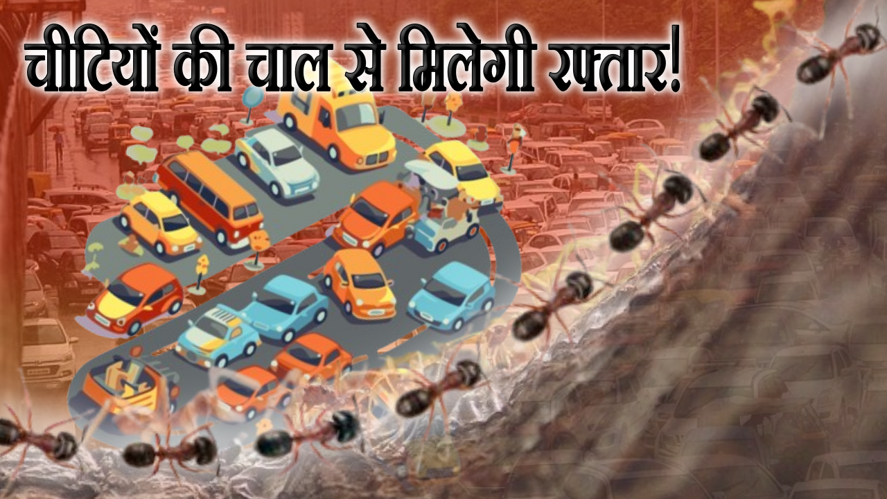 Traffic Problem - Dayitva Media