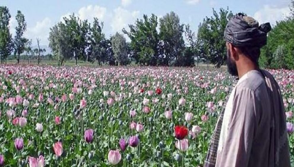 Narcotics-driven geopolitics-news-Dayitva Media