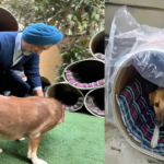 कम्युनिज्म से जन्मा नक्सलवाद! जर्मनी से होते हुए कैसे छत्तीसगढ़ को ले लिया अपने शिकंजे में