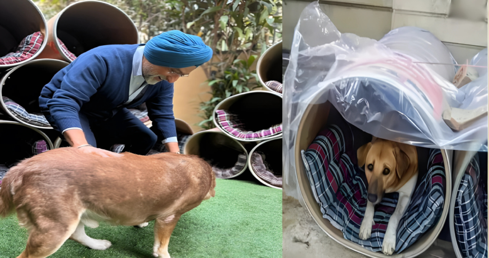 Sardarji Dog Shelter Story - Dayitva Media