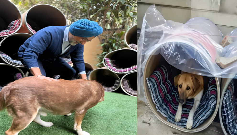 Sardarji Dog Shelter Story - Dayitva Media