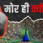 हिल स्टेशन की बात पुरानी, अब तीर्थों पर छुट्टियां मनाने जा रहे सैलानी, देश में आसमान पर धार्मिक पर्यटन
