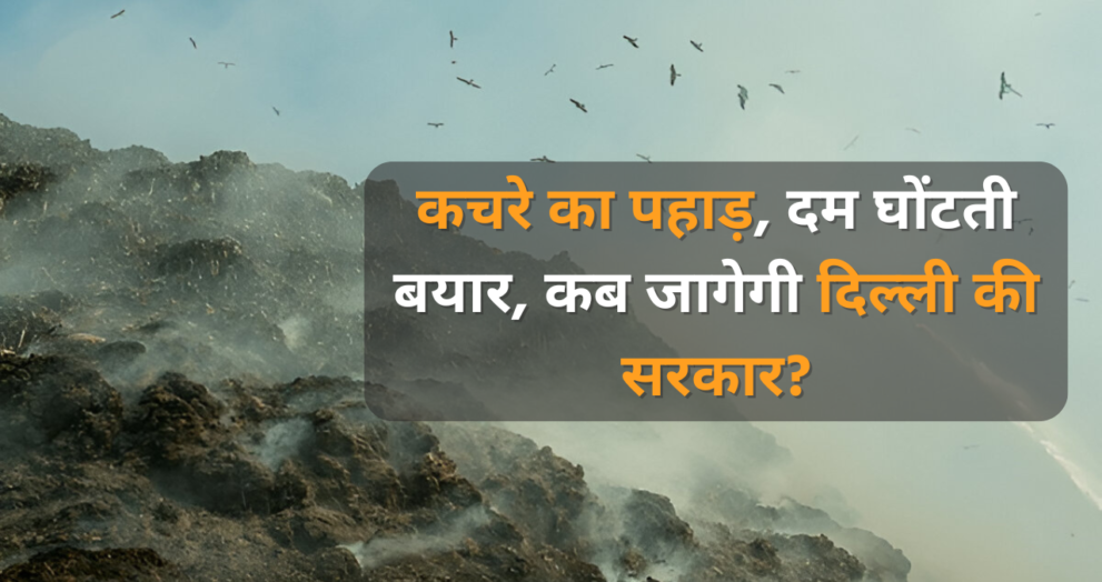 Garbage Mountain in Delhi - Dayitva Media