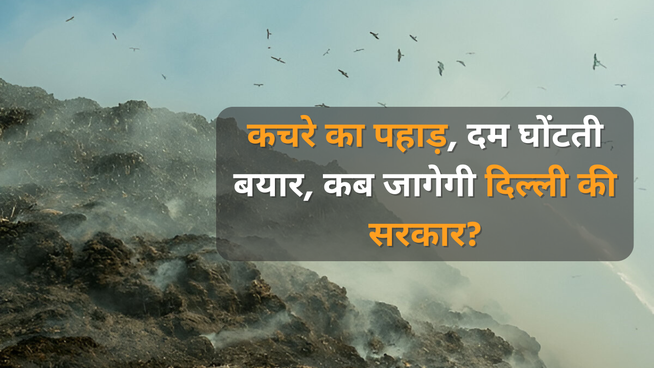 Garbage Mountain in Delhi - Dayitva Media